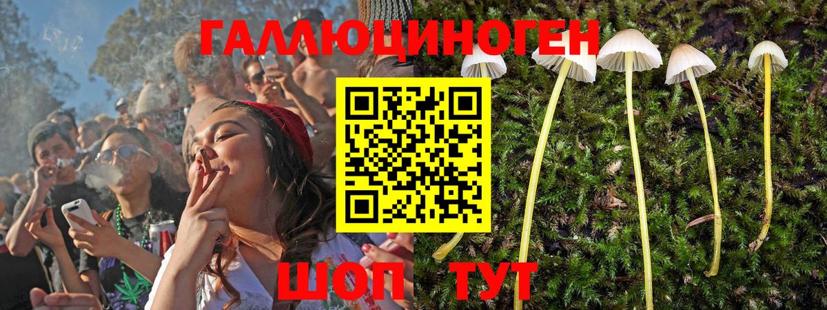 Славянск-на-Кубани  Псилоцибиновые грибы Magic Shrooms  Галлюциногенные грибы мухоморы  Вход с VPN 